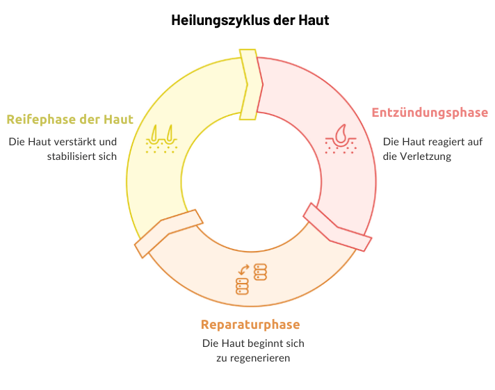 Heilung Pferd Maukehaut